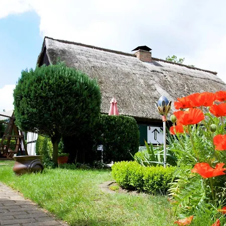 Holiday home Attractive In Ahlbeck With Terrace